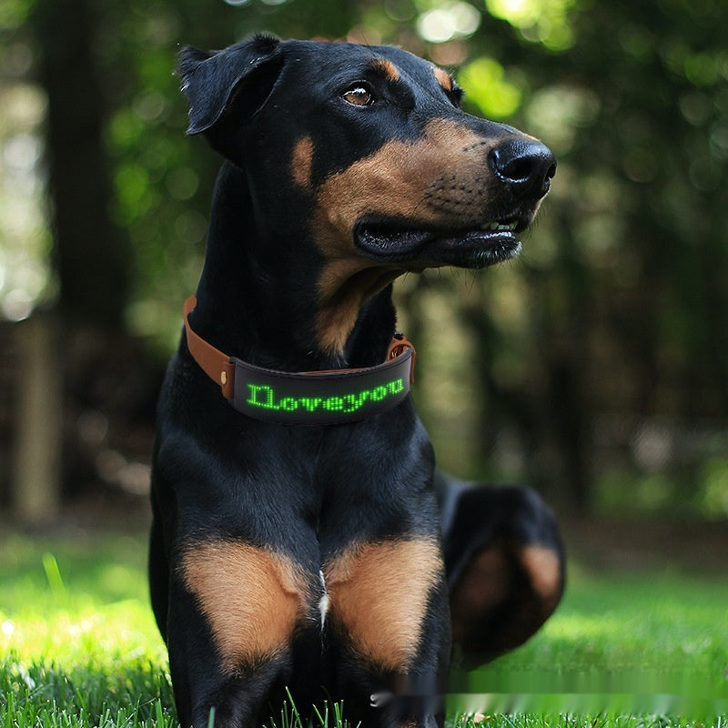 LED-Hundegeschirr mit Display – Bild 1 | LuxeStyle