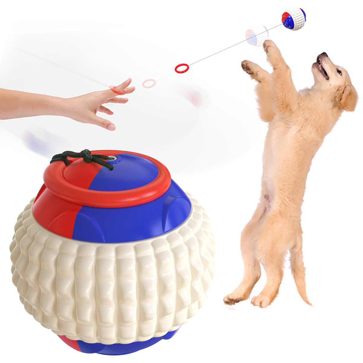 Wurf- und Kauball für Hunde – Bild 3 | LuxeStyle
