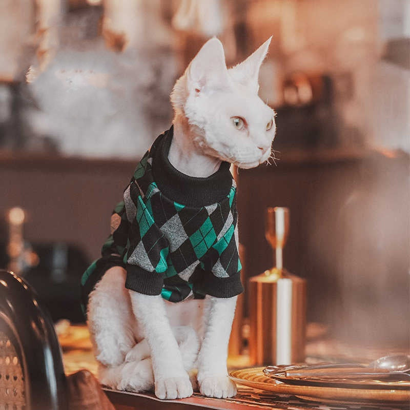 Katzenpullover aus Baumwolle mit Karomuster – Bild 3 | LuxeStyle