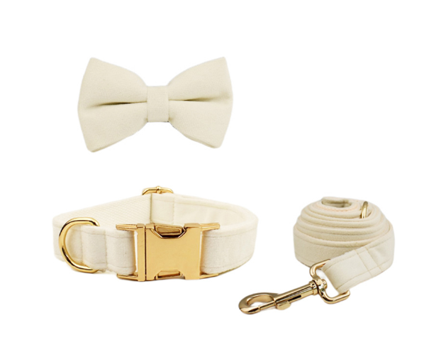 Samtiges Haustierhalsband mit Leine – Bild 3 | LuxeStyle
