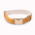 Hundehalsband mit Metallschnalle – Bild 1 | LuxeStyle