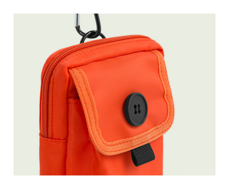 Hipster Mini Crossbody Bag