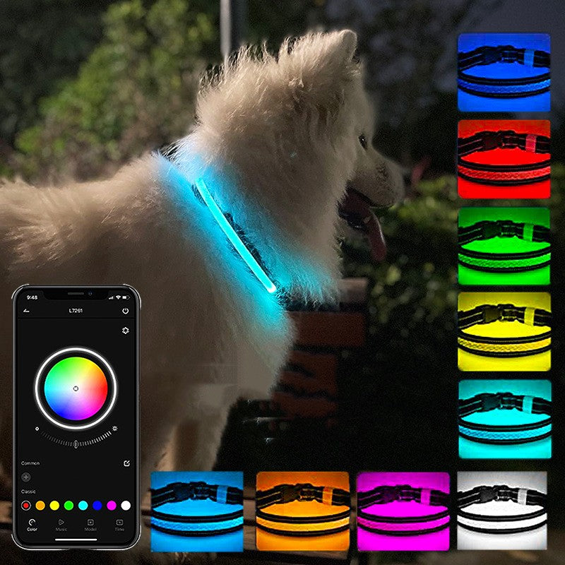 USB Leuchthalsband für Hunde – Bild 1 | LuxeStyle