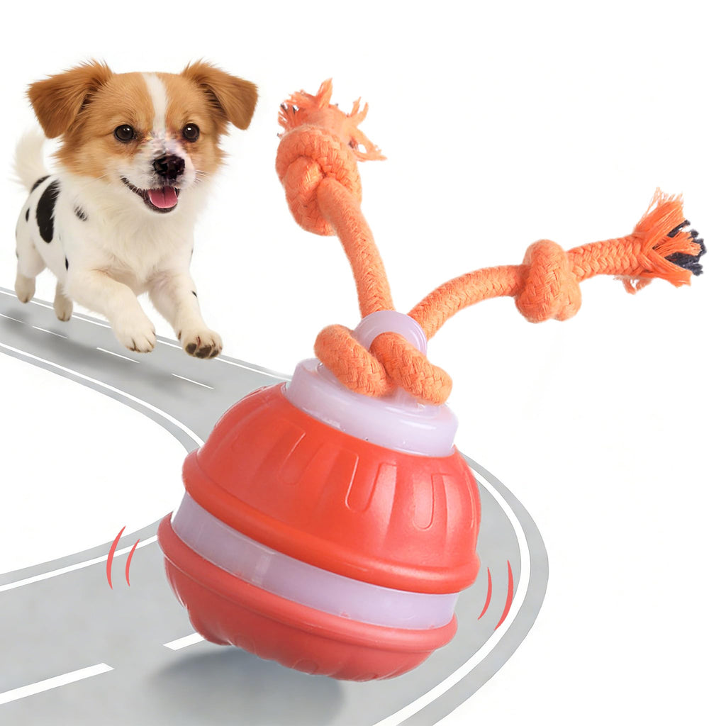 Interaktiver Hundeball mit Vogelgezwitscher