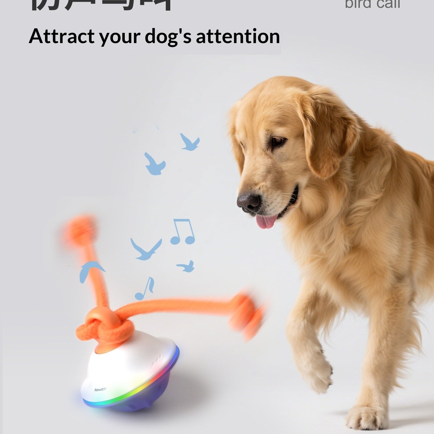 Automatisch Ballwurf Spielzeug für Haustiere