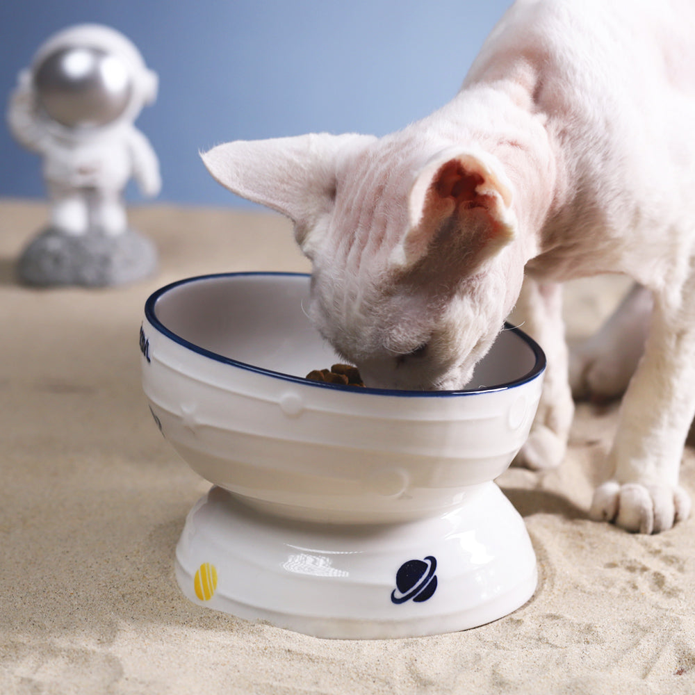 Keramik Futternapf für Katzen, schräg & erhöht – Bild 4 | LuxeStyle