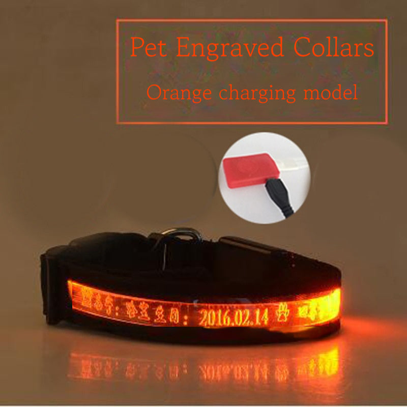Leucht-Hundehalsband – Bild 7 | LuxeStyle