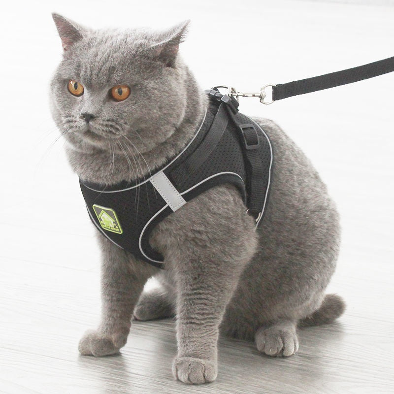 Atmungsaktive Katzenleine mit Fluchtsicherung