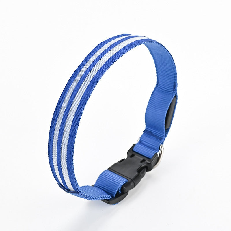 Leuchtendes Nylon-Hundehalsband für die Nacht – Bild 10 | LuxeStyle