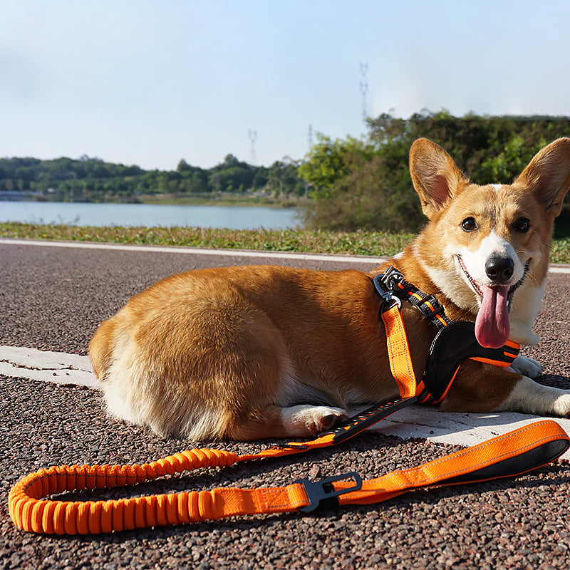 Reflektierende Hunde-Leine mit Puffer – Bild 8 | LuxeStyle