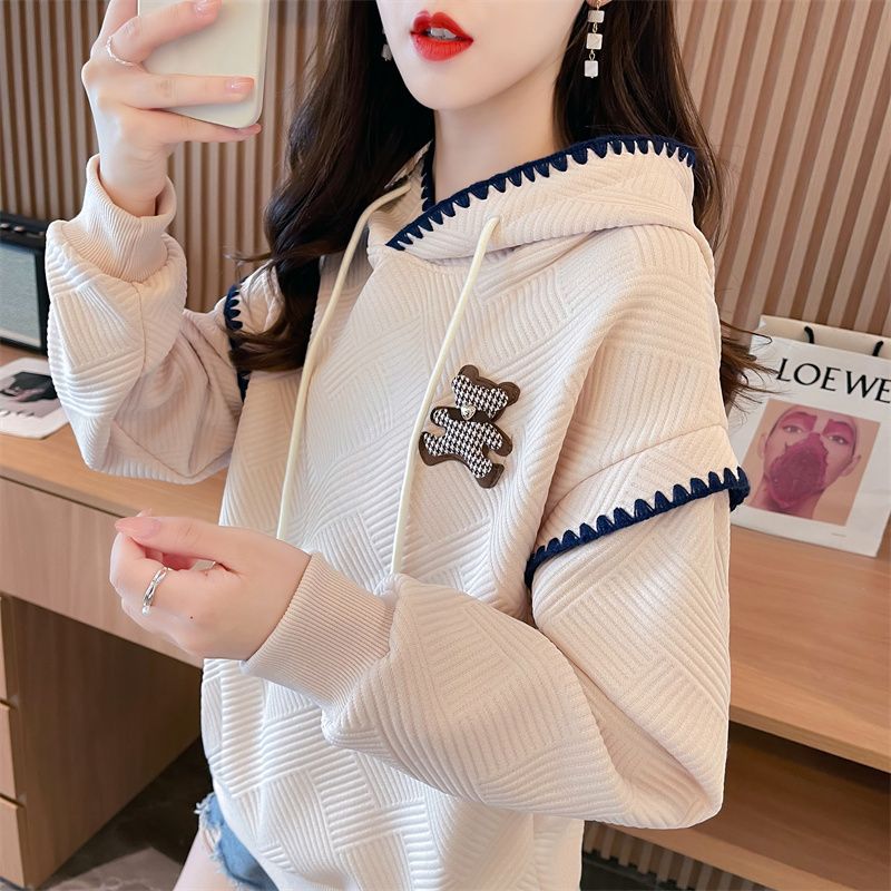 Kapuzen-Sweatshirt mit Stickerei