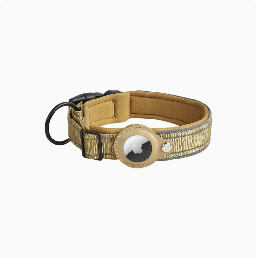 Reflektierendes Nylon-Halsband, verstellbar