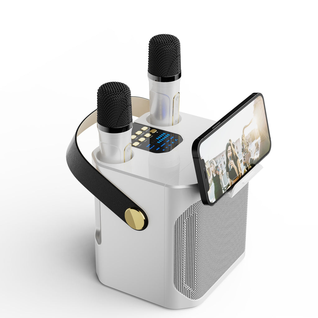 Bluetooth-Lautsprecher mit 2 Mikrofonen für Outdoor-Karaoke