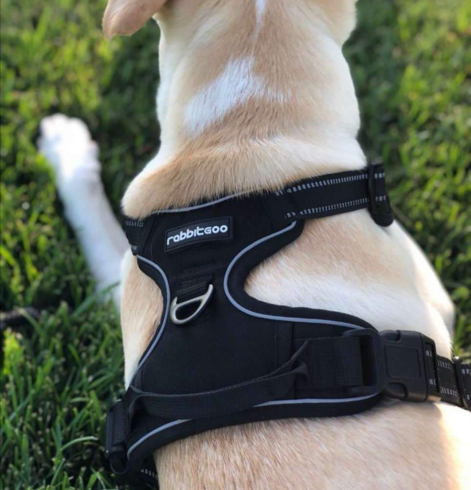 Hunde-Overall aus Polyester – Bild 4 | LuxeStyle