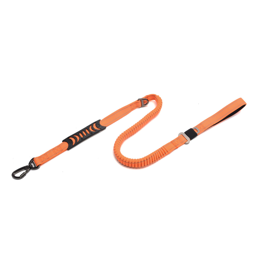 Elastische Hundeleine