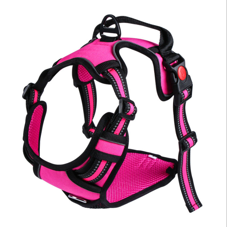 Sichere Hundeleine mit Reflektor