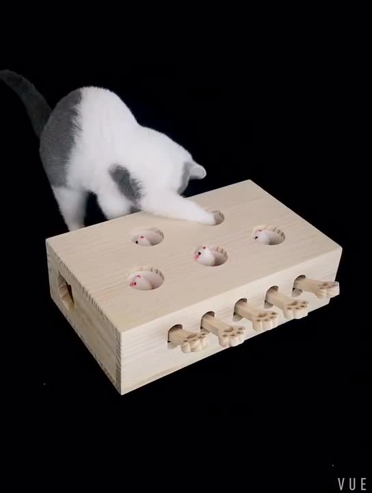 Spiel-Gopher für Katzen aus Holz