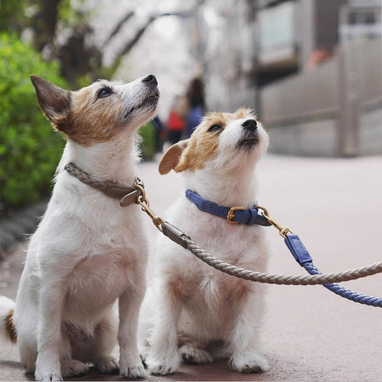 Robustes Hunde Halsband aus Leder – Bild 12 | LuxeStyle