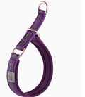Hundehalsband P-Kette für Spaziergänge – Bild 3 | LuxeStyle