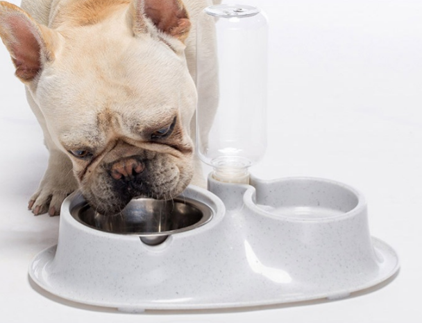 Edelstahl Automatische Trinkschüssel für Hunde – Bild 8 | LuxeStyle