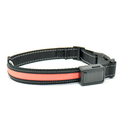 Leuchtendes Hundehalsband mit Solar- und USB-Ladefunktion – Bild 5 | LuxeStyle