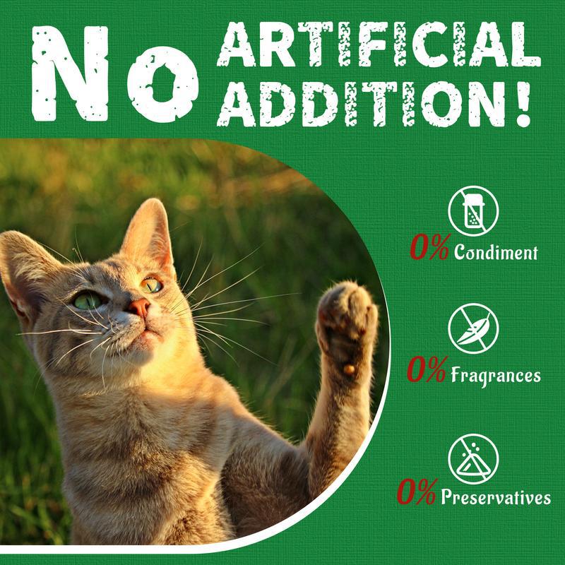 Katzen- und Hunde-Gras-Biskuits gegen Haarballen