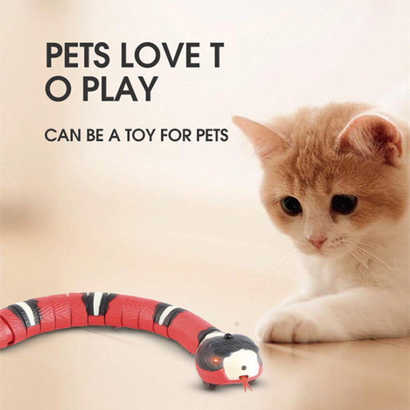 Elektrisches induktives Schlangen-Spielzeug für Katzen – Bild 2 | LuxeStyle