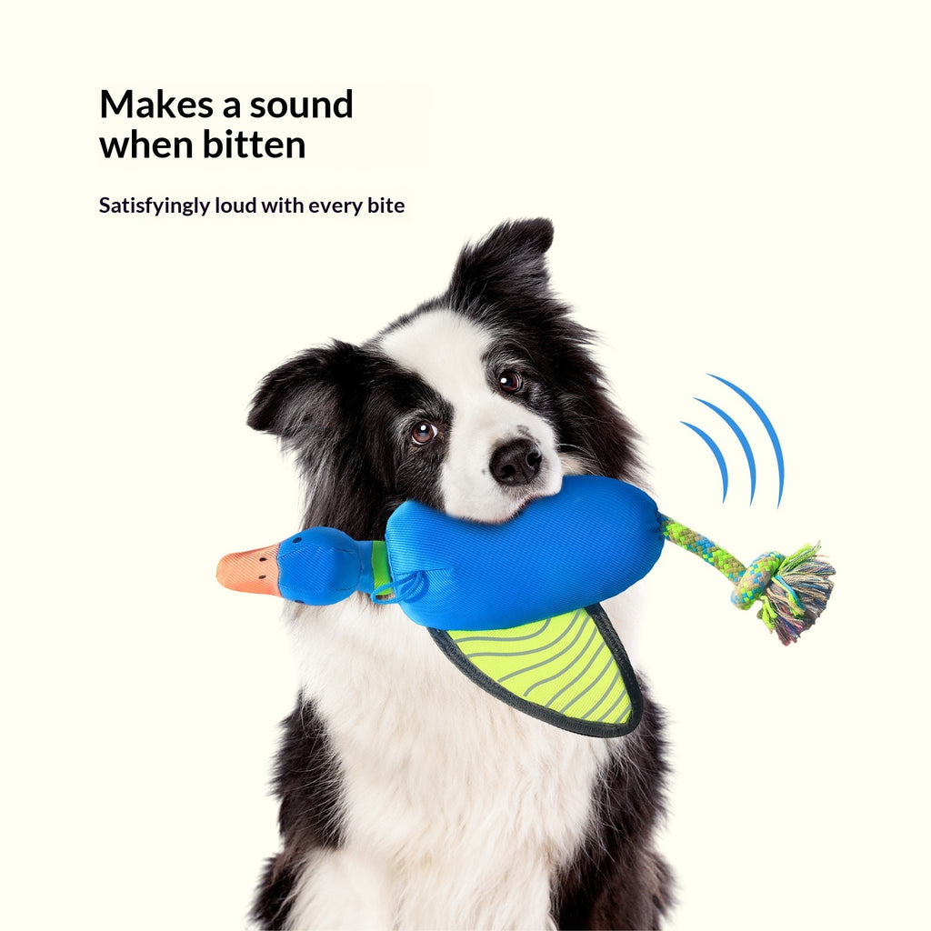 Hund Oxford-Stoff Kauspielzeug mit Quietschfunktion – Bild 3 | LuxeStyle