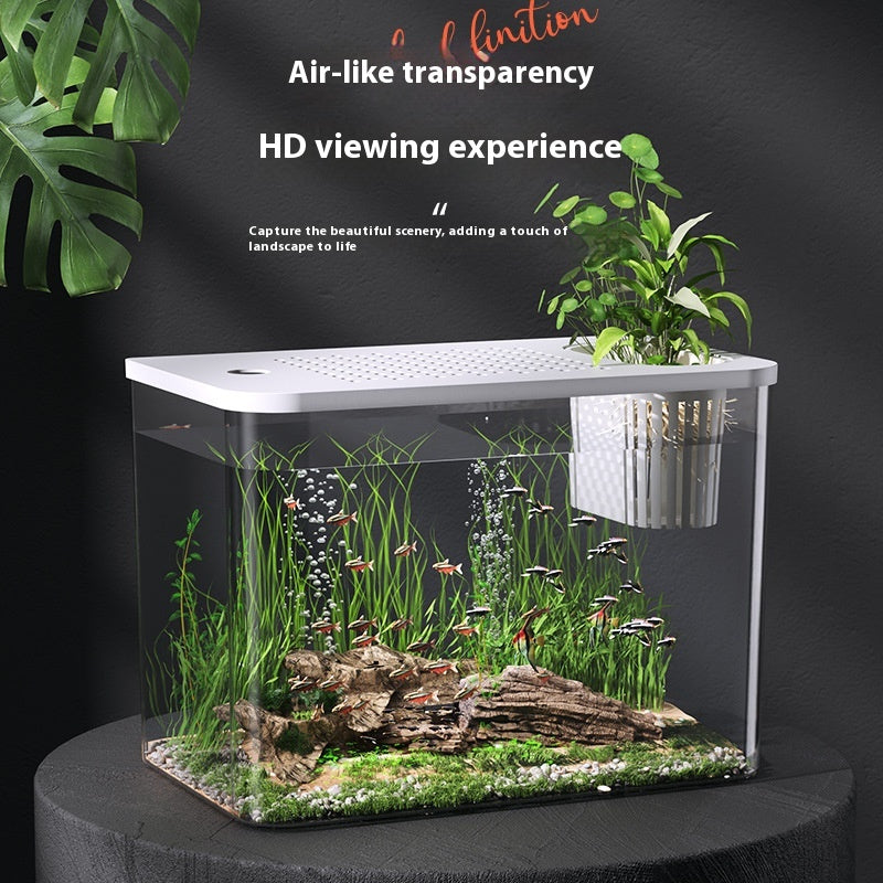 Mini-Betta-Aquarium für Wohnzimmer