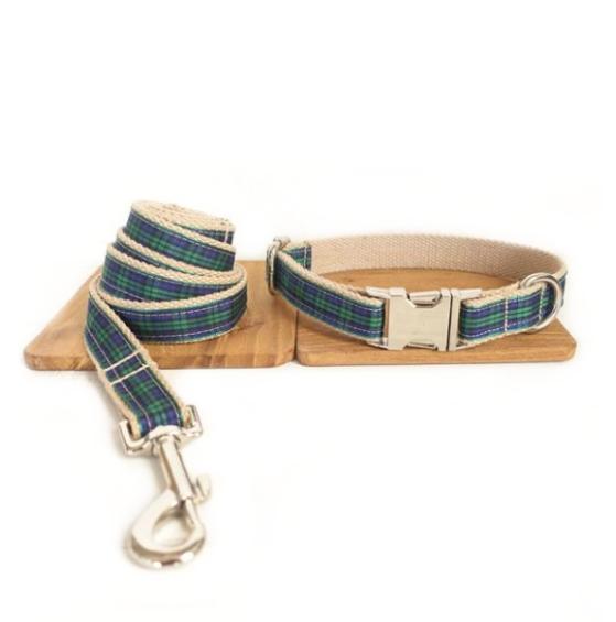 Halsband für Hunde – weich und bequem – Bild 2 | LuxeStyle
