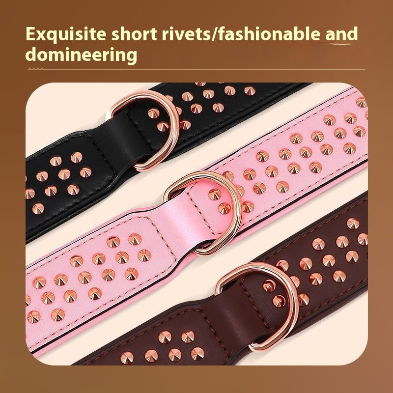Hundehalsband – Bild 3 | LuxeStyle