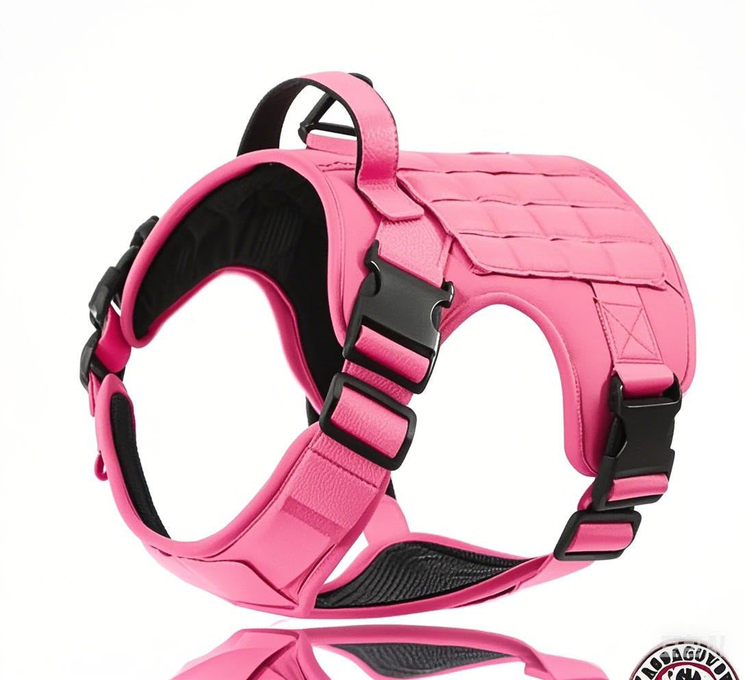 Taktisches Hundehalsband