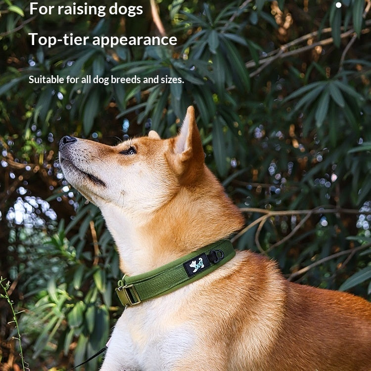 Verlustsicherer Hundehalsband