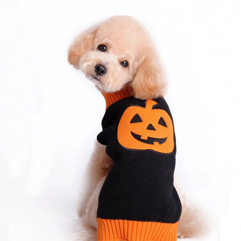 Halloween-Hundekuschelsweater in Kürbisform – Bild 4 | LuxeStyle