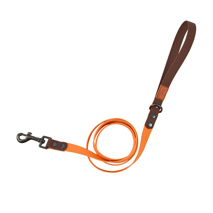 Hundetrage – Bild 12 | LuxeStyle