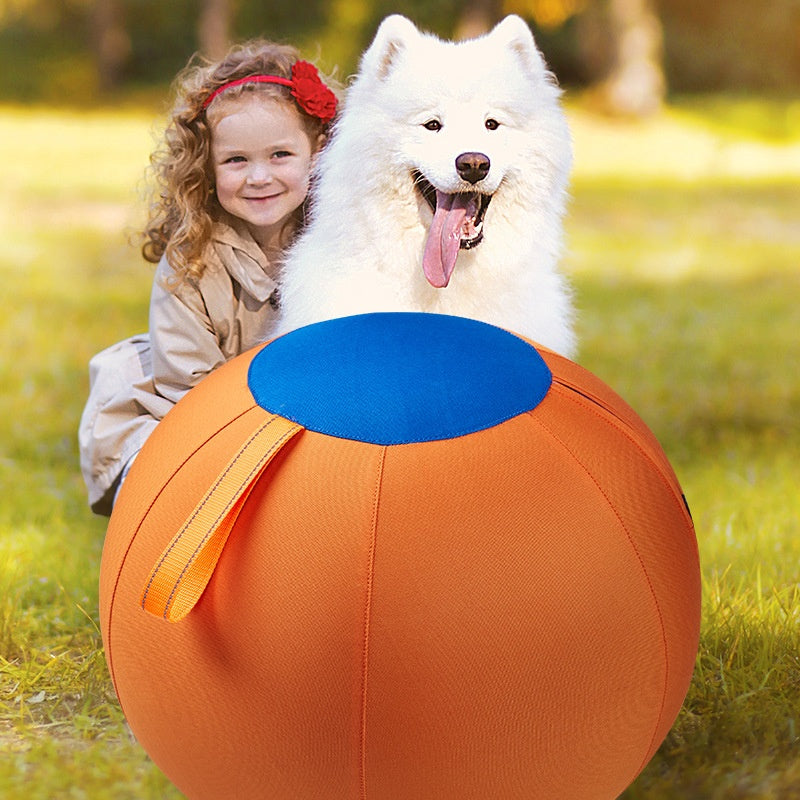 Golden Retriever Spielball-Set, kaubeständig