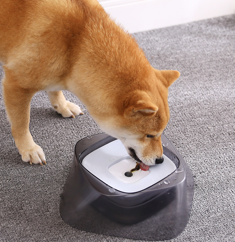 Schwimmender Trinknapf für Hunde und Katzen – Bild 2 | LuxeStyle