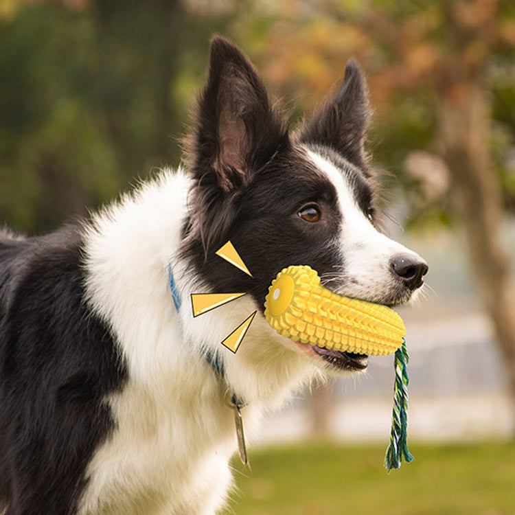 Bissfester Corn-Dog für Hunde mit Geräusche