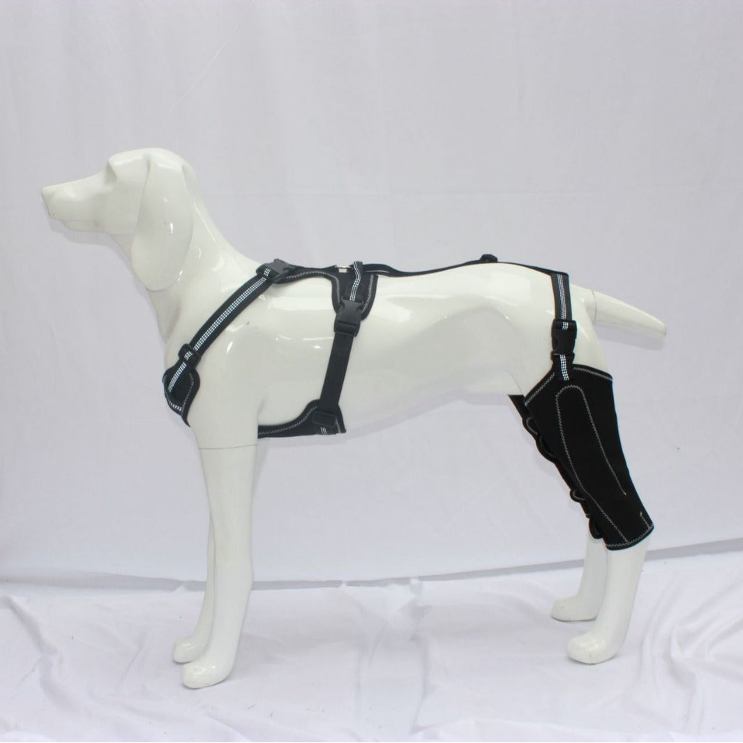 Beinwärmer für Hunde mit verstellbarer Metallstütze – Bild 4 | LuxeStyle