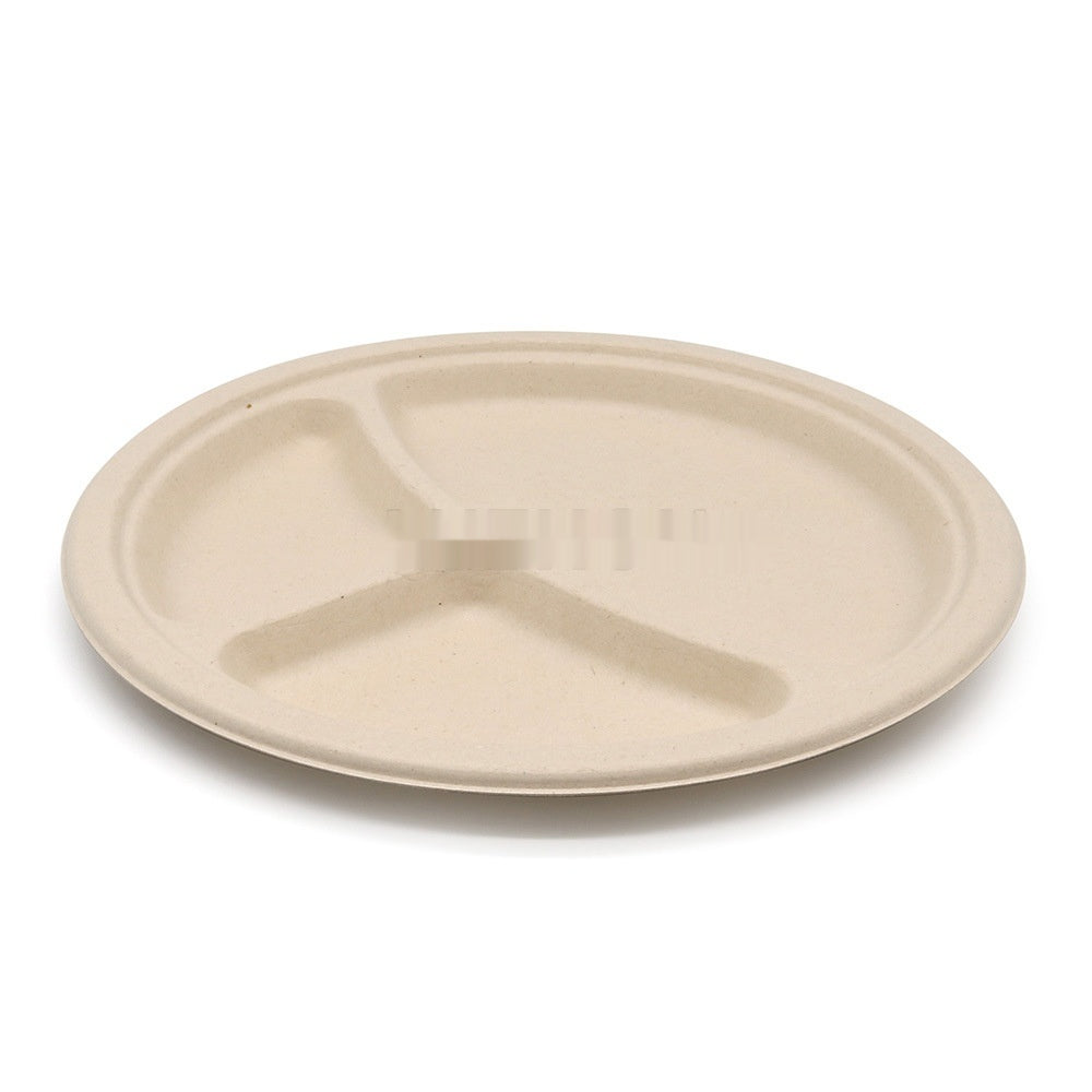Oasis Bagasse 3-Raster Teller, 50 Stk.