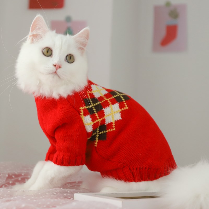 Katzenpullover – Fellschutz für Herbst & Winter – Bild 5 | LuxeStyle