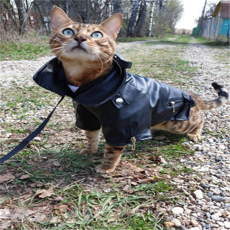 Hunde Lederjacke mit Adler-Stickerei