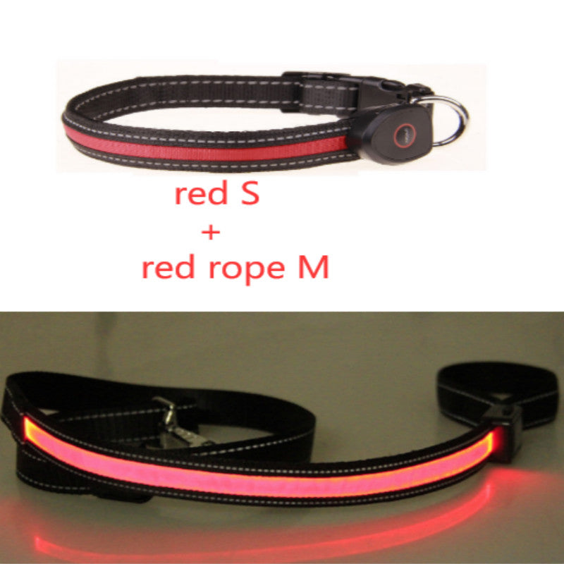 Hundehalsband leuchtend – Bild 4 | LuxeStyle