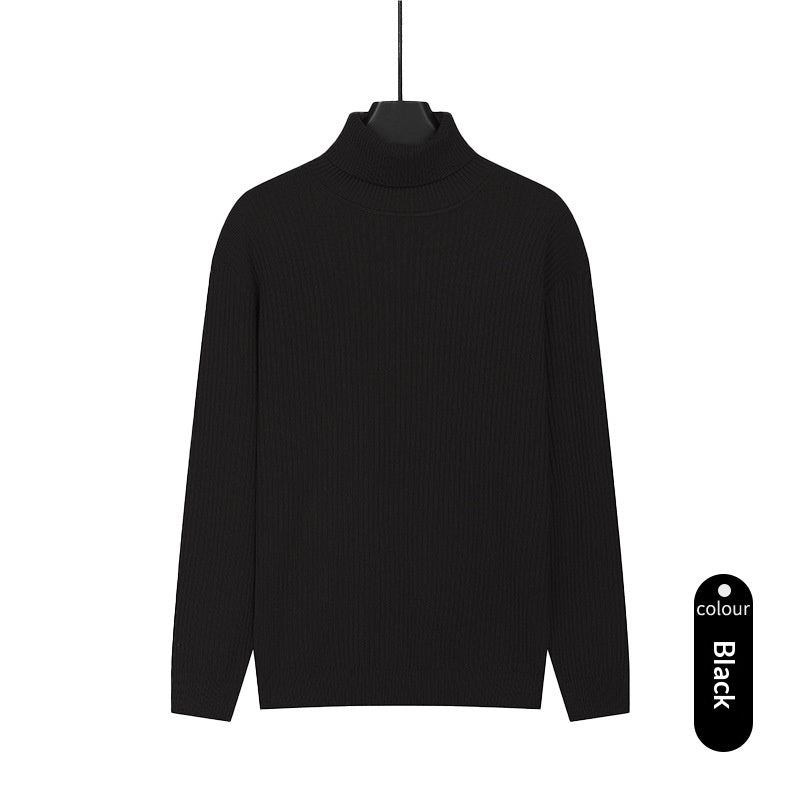 Herren Rollkragenpullover aus Strick