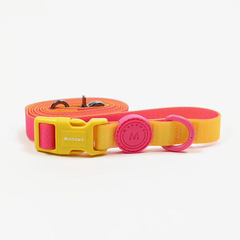 Wasserdichtes Nylon-Hundehalsband mit Leine – Bild 2 | LuxeStyle