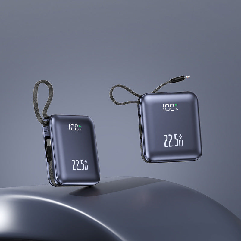 Powerbank mit 10000mAh und Dual-Kabel