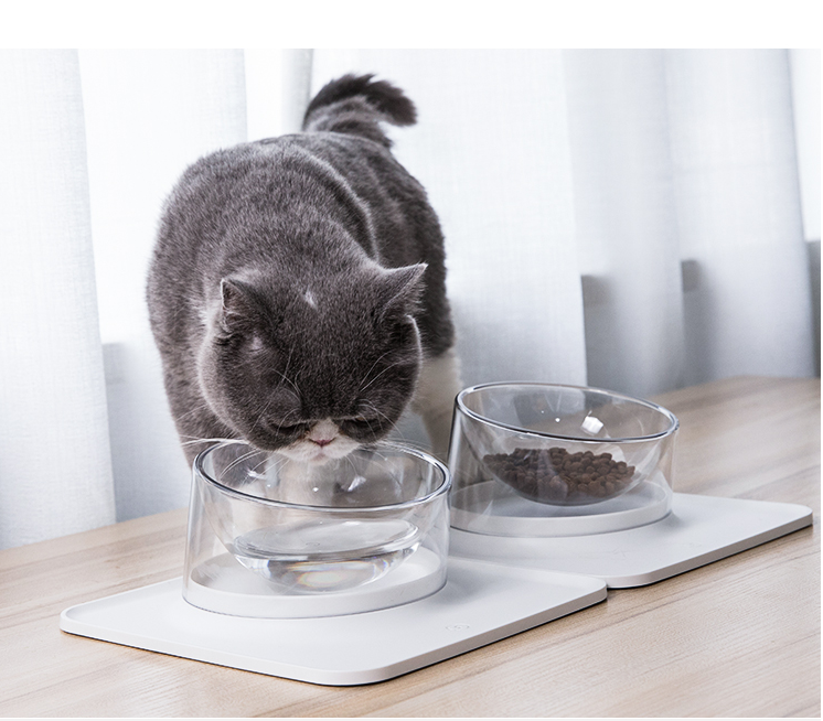 Aiwo Anti-Überlauf Napf für Hunde und Katzen – Bild 6 | LuxeStyle