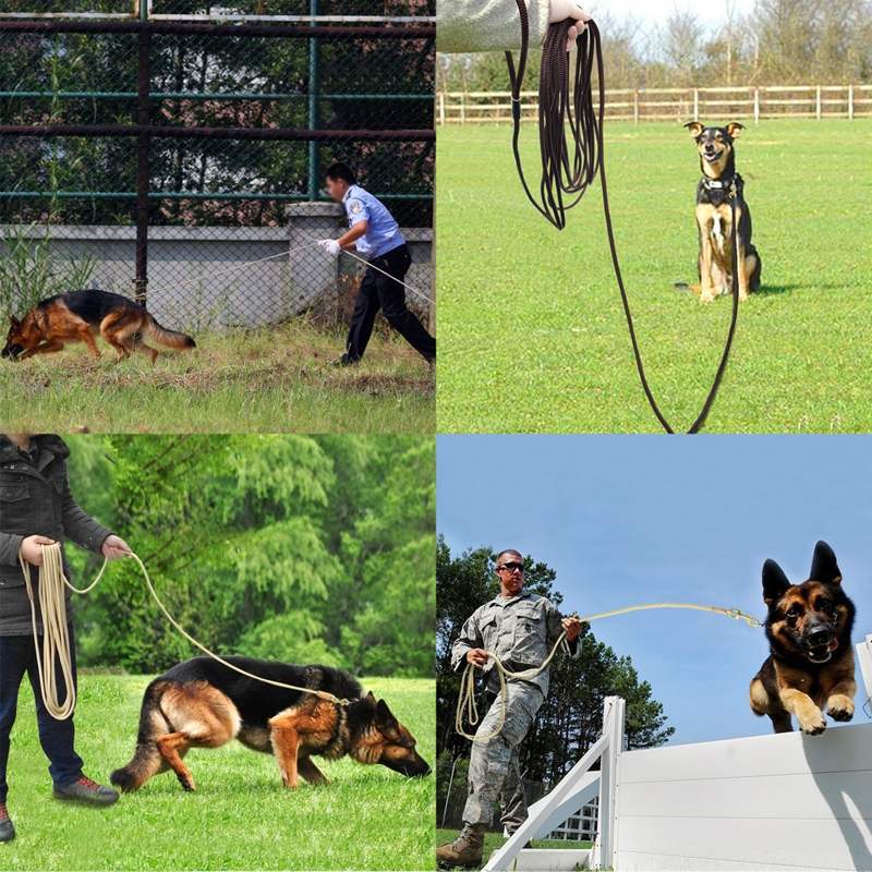 Hundetraining-Leine, 3m, 5m, 10m oder 20m – Bild 3 | LuxeStyle