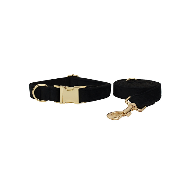 Samtiges Haustierhalsband mit Leine – Bild 5 | LuxeStyle