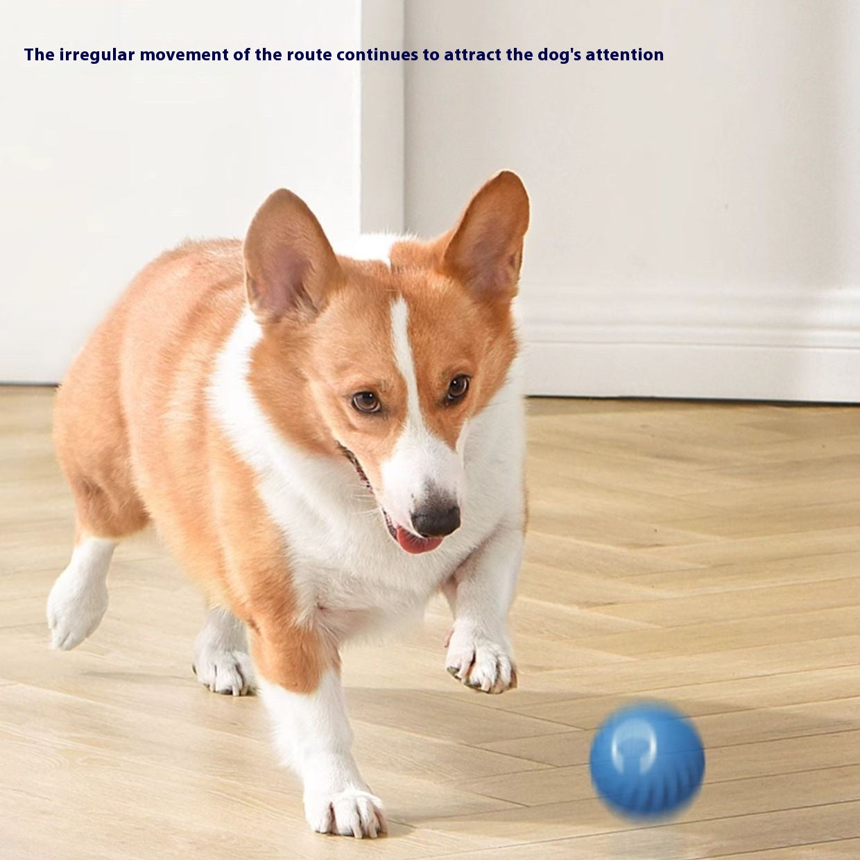 Intelligenter Gravity Jump Ball für Hunde